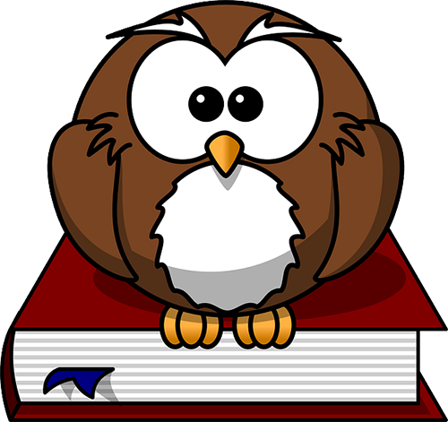 Owl on Book image